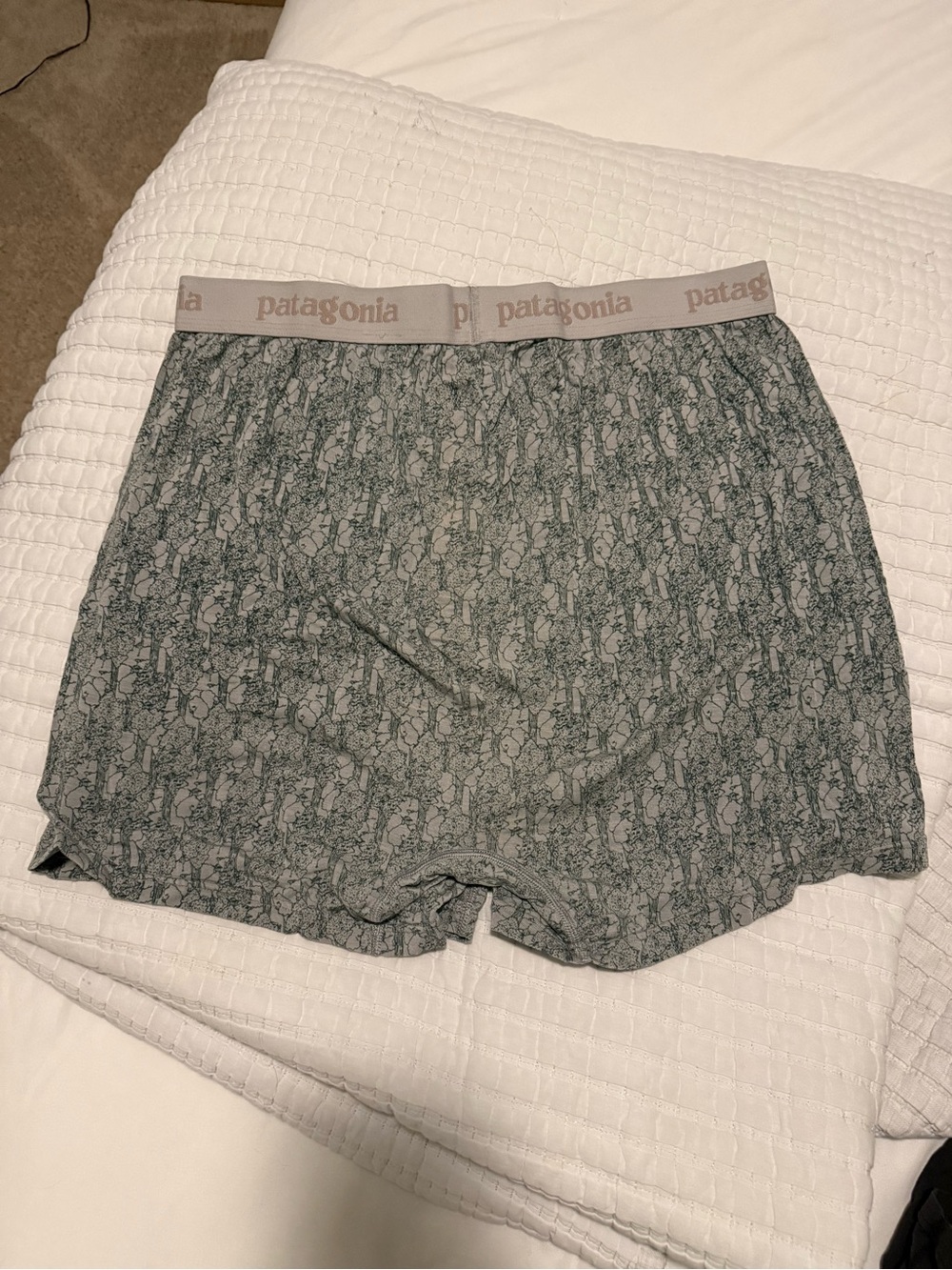 Patagonia Green/Gray Logo Briefs - Picture 2 of 3